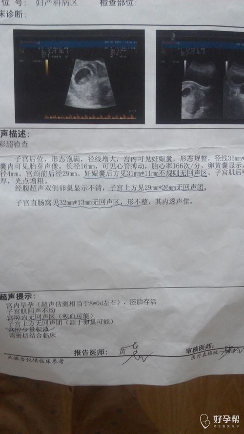 李静乐蜂网 李静的乐蜂网还运营吗 李静乐蜂网 李静的乐蜂网还运营吗