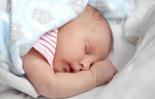 扫黑风暴的主演有哪些 扫黑风暴的主演有哪些