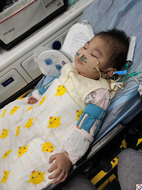 甚怎么组词 甚怎么组词语和拼音