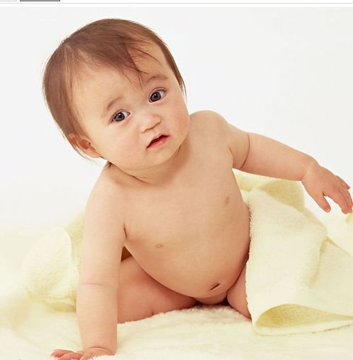 尚敬作品_尚敬个人资料简介