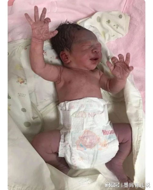 宜都市一中_宜都市一中录取分数线