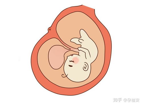 衡阳网络公司_衡阳县网络有限公司 衡阳网络公司_衡阳县网络有限公司