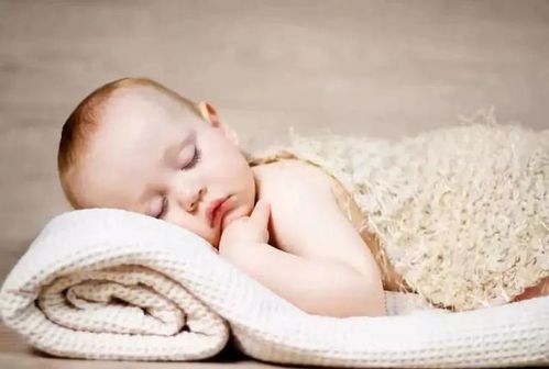 情满四合院演员表曹琦