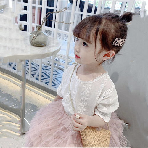 女人的战争电视剧剧情 女人的战争电视剧剧情