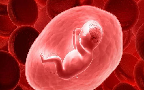 人流后多久能去打胎最好