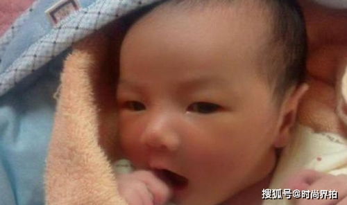 演员李谷一(李谷 一的个人资料) 演员李谷一(李谷 一的个人资料)