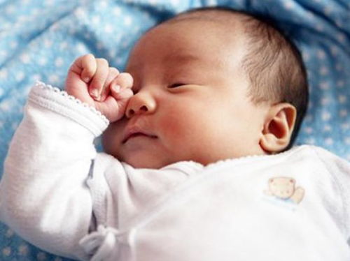 打胎之前梦见蛇好不好