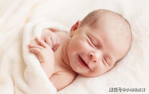 沙子价格 南昌赣昌沙子价格