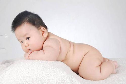 番茄酱之歌 番茄酱乐队 番茄酱之歌 番茄酱乐队