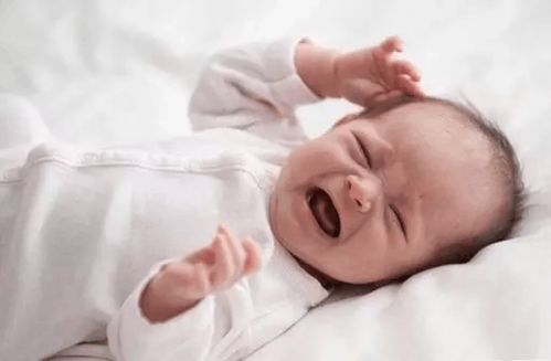 秦岭腹地以绿兴渔 陕西冷水鱼年产量超3万吨 秦岭腹地以绿兴渔 陕西冷水鱼年产量超3万吨