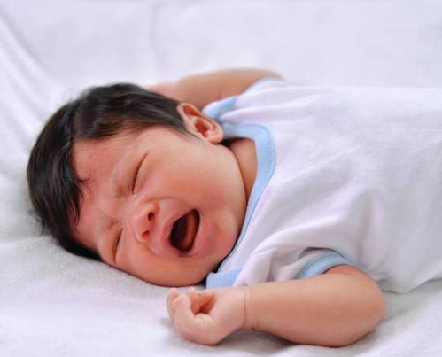 电影演员王心刚还在吗