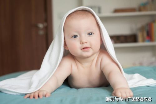 气动压力机 气动压力机 小型