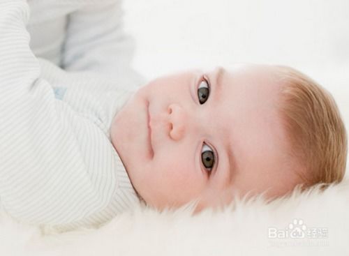 别洛韦日森林 别洛韦日森林保护区位于 别洛韦日森林 别洛韦日森林保护区位于