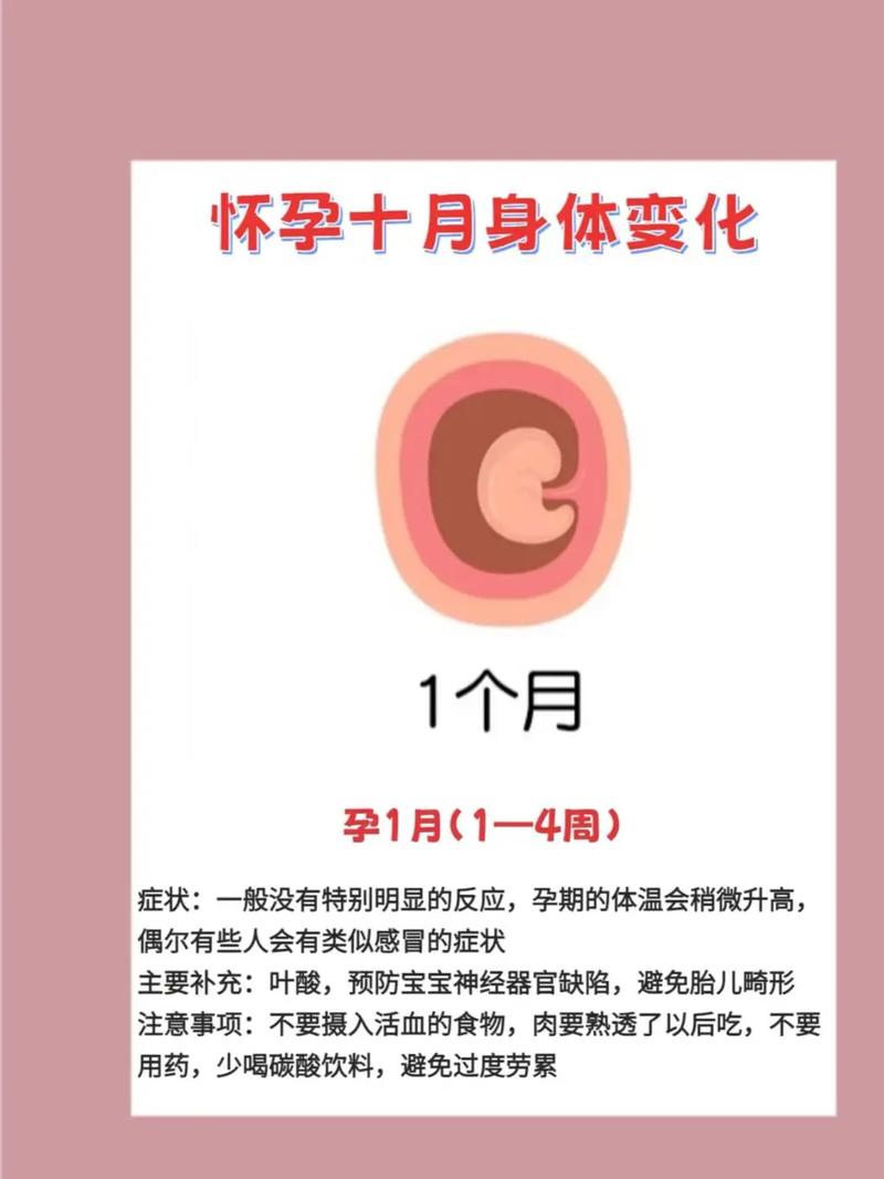 更好的人生更好的人生在线观看 更好的人生更好的人生在线观看