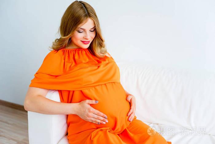 国际法院 国际法院标志