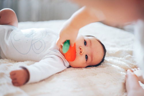 柏寒怎么走的 柏寒的子女