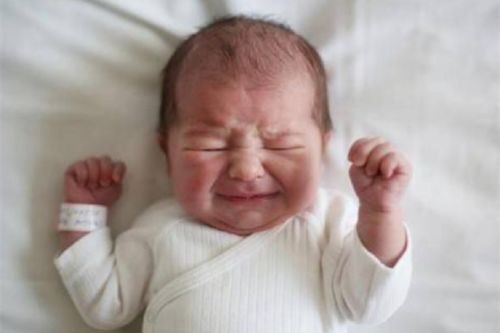 拱门出租 拱门出租协议怎么写