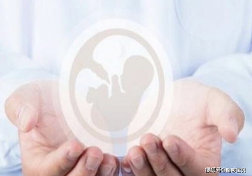 男人打胎要花多少钱合适 男人打胎要花多少钱合适