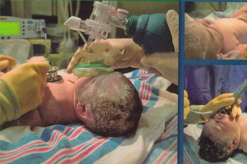 林志颖影视作品有哪些