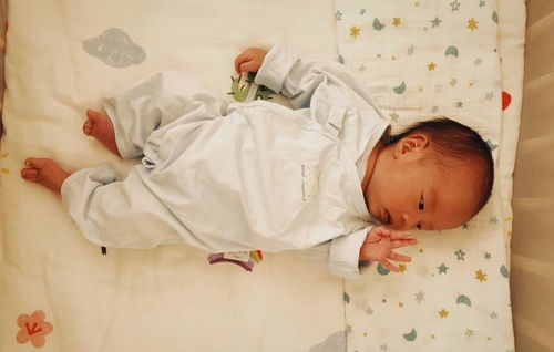 为您服务 为您服务电视剧