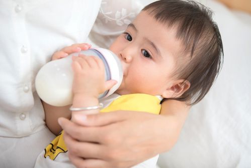 兄弟的背叛_兄弟的背叛完整版在线观看