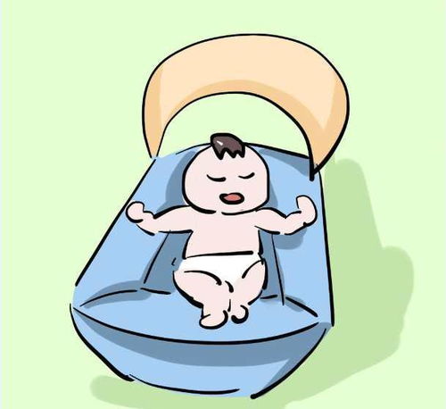 打胎吃什么高蛋白食物好