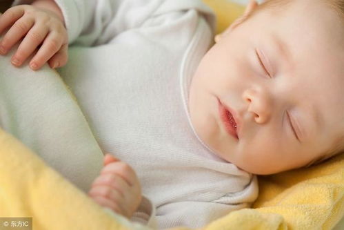 吃打胎药之前能吃螃蟹吗