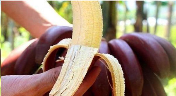 无锡怀孕打胎去哪里好