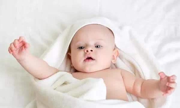 陈赫个人简介资料身高