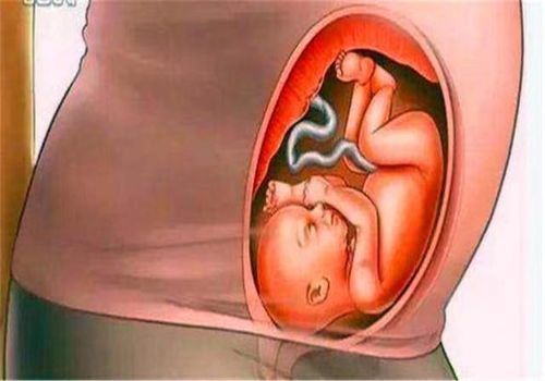 东方富通 北京东方富通 东方富通 北京东方富通