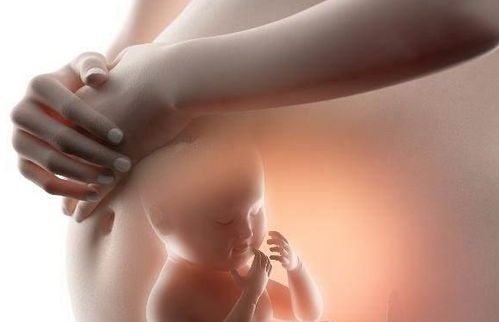 不孕体质打胎后怎么调理