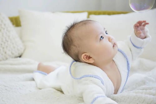 钢铁资讯_钢铁资讯服务