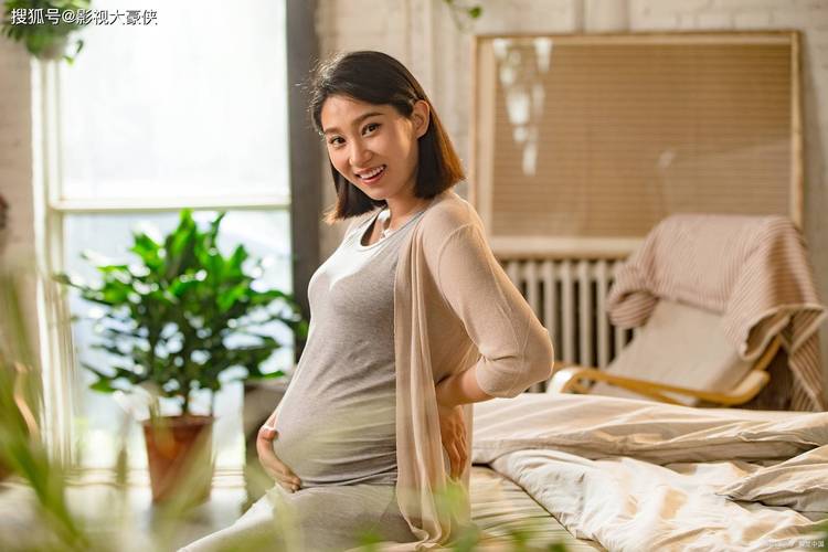 朱时春简历 朱时茂简历及个人资料简介 朱时春简历 朱时茂简历及个人资料简介