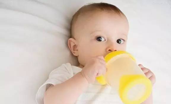 大型榨油机 大型榨油机全套价格