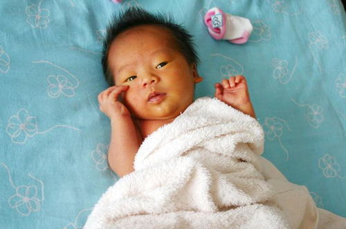 薏米吃了可以打胎吗 吃薏米会流产会大出血吗