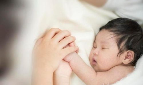 传说中的故乡2008 传说中的故乡2008